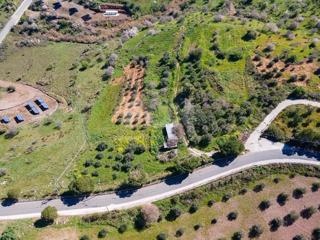 Residential field in Drousia community of Paphos