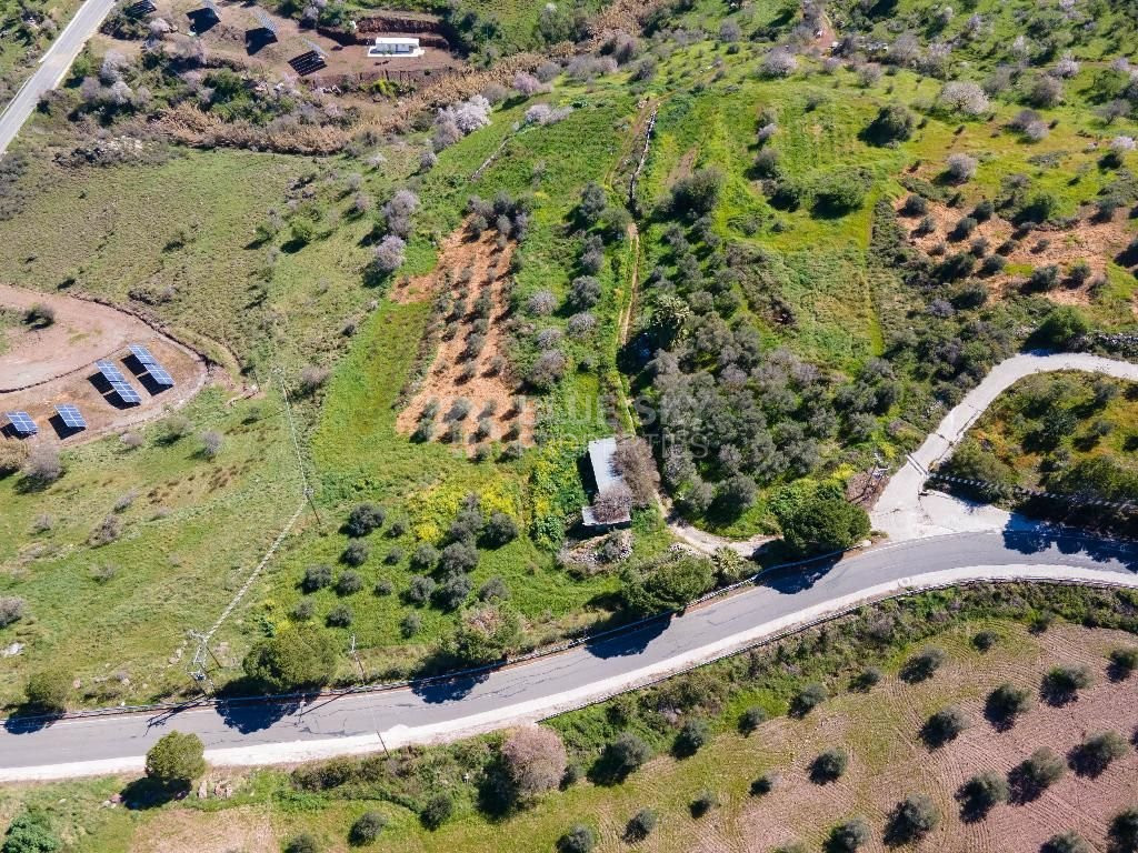 Residential field in Drousia community of Paphos