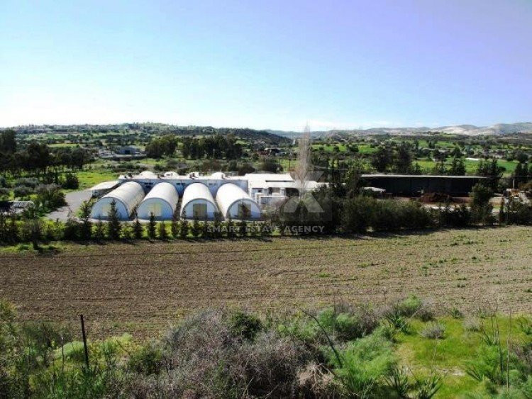 Business and land For Sale In Kalavasos Larnaca Cyprus