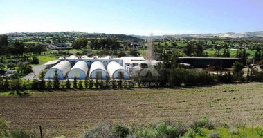 Business and land For Sale In Kalavasos Larnaca Cyprus