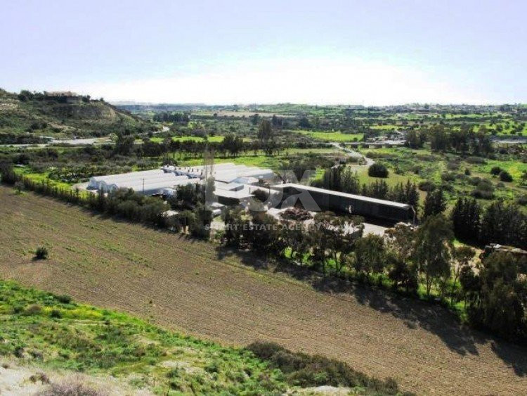 Business and land For Sale In Kalavasos Larnaca Cyprus