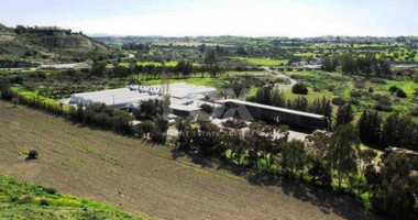 Business and land For Sale In Kalavasos Larnaca Cyprus