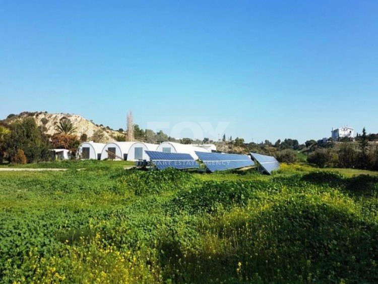 Business and land For Sale In Kalavasos Larnaca Cyprus