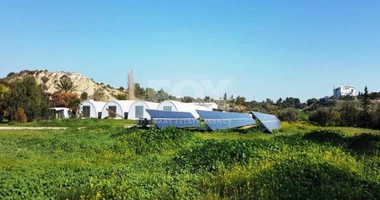 Business and land For Sale In Kalavasos Larnaca Cyprus