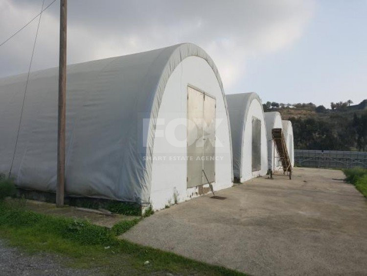 Business and land For Sale In Kalavasos Larnaca Cyprus