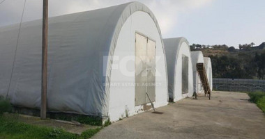 Business and land For Sale In Kalavasos Larnaca Cyprus