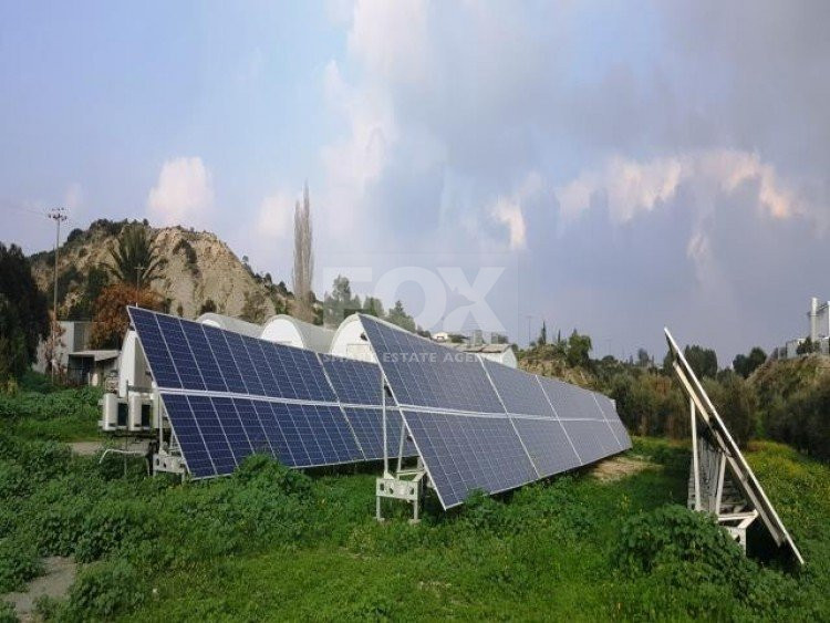 Business and land For Sale In Kalavasos Larnaca Cyprus