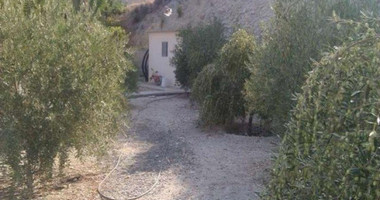 3 Bed House For Sale In Foinikaria Limassol Cyprus