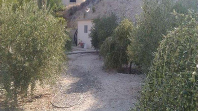 3 Bed House For Sale In Foinikaria Limassol Cyprus