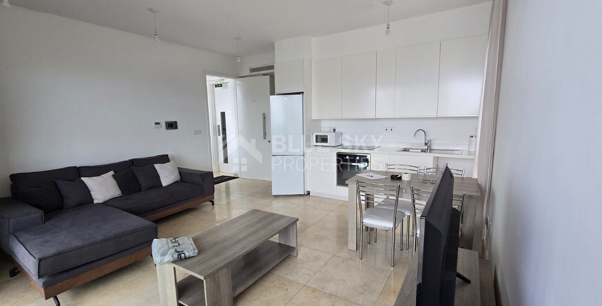 Amazing one bedroom penthouse for rent in Neapoli, Limassol