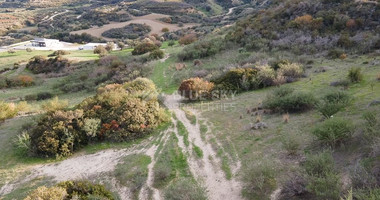 Agricultural Field in Drousia Community, Paphos