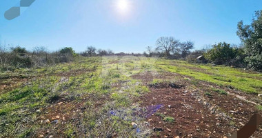 For Sale Charming Traditional Bungalow in Inia,Paphos