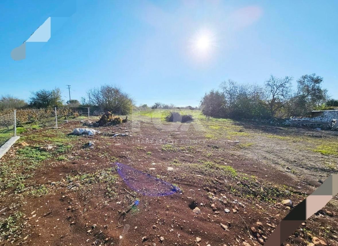 For Sale Charming Traditional Bungalow in Inia,Paphos