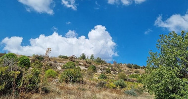 Land for sale in Koilani, Limassol