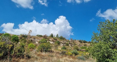 Land for sale in Koilani, Limassol