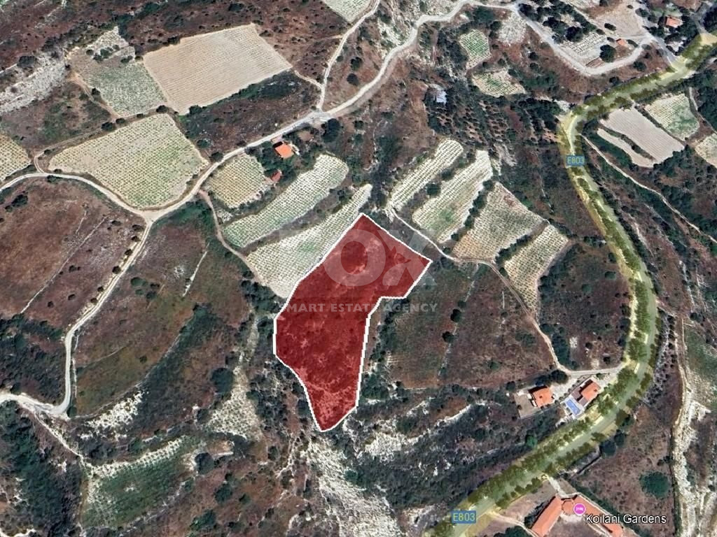 Land for sale in Koilani, Limassol