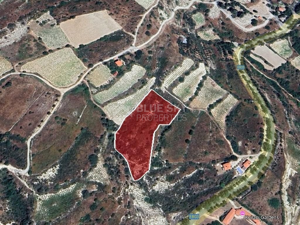 Land for sale in Koilani, Limassol