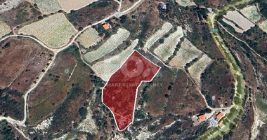 Land for sale in Koilani, Limassol