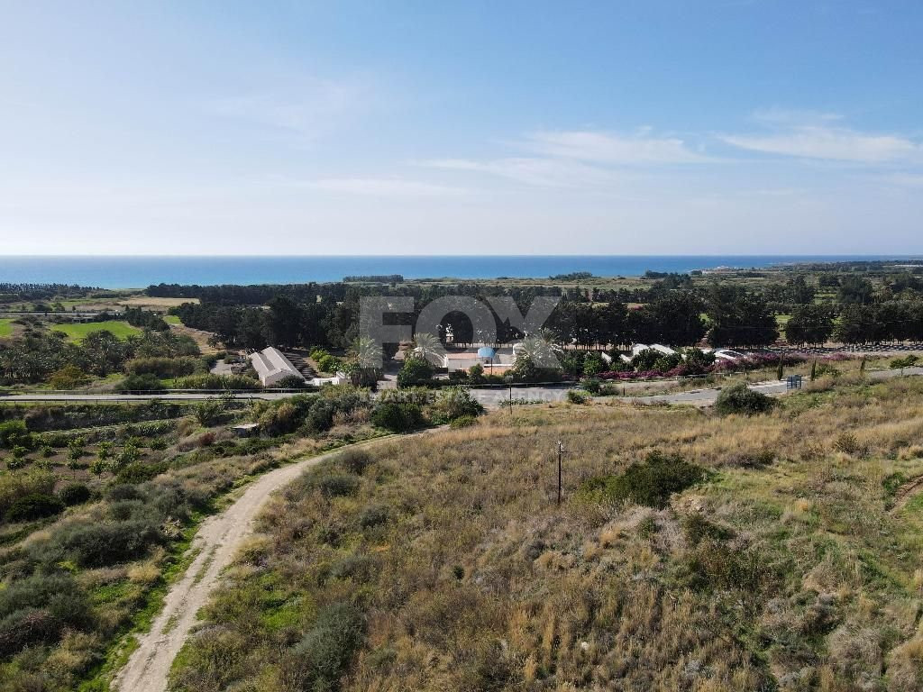 Residential field in Kouklia community, Paphos