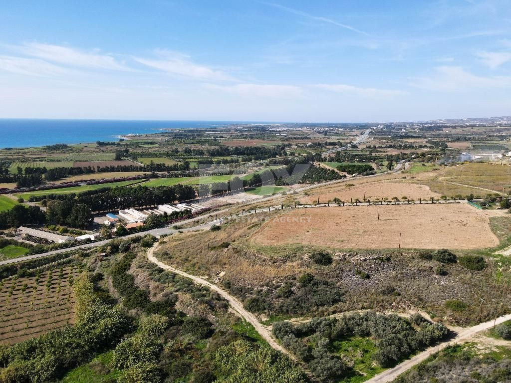 Residential field in Kouklia community, Paphos