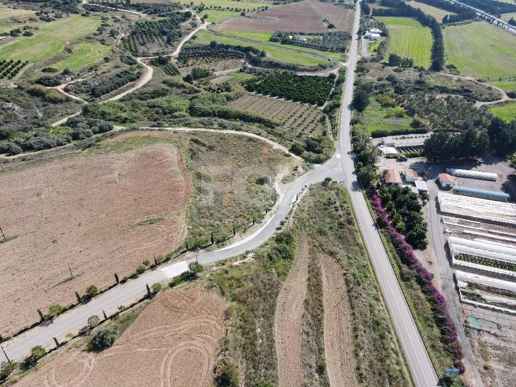 Residential field in Kouklia community, Paphos