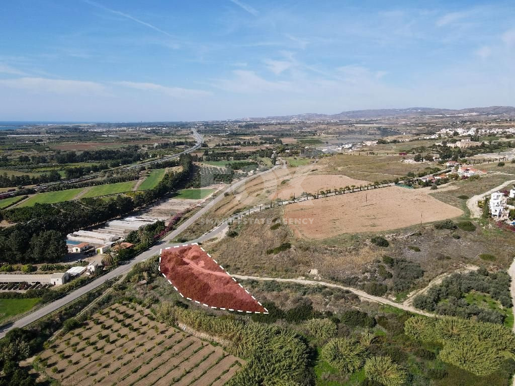 Residential field in Kouklia community, Paphos