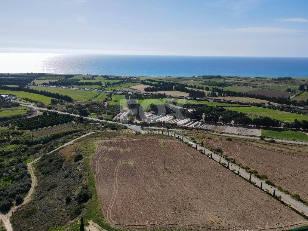 Residential field in Kouklia community, Paphos