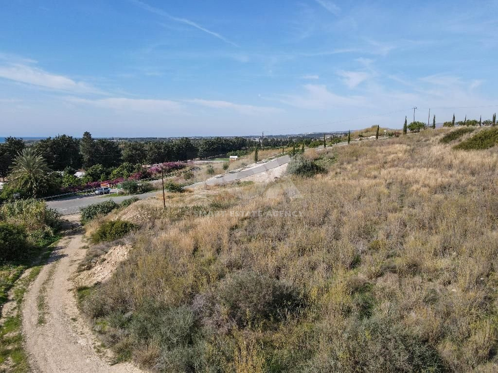 Residential field in Kouklia community, Paphos