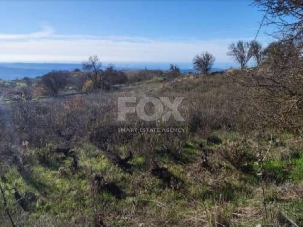 Large field  in Statos Agios Fotios