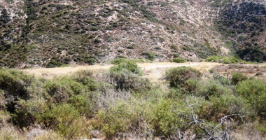 Land For Sale In Pissouri Limassol Cyprus