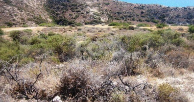 Land For Sale In Pissouri Limassol Cyprus