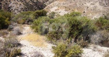 Land For Sale In Pissouri Limassol Cyprus