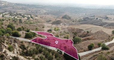 Residential field in Armou community, Paphos