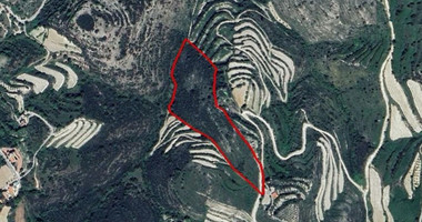 Large Field in Koili Area of Paphos