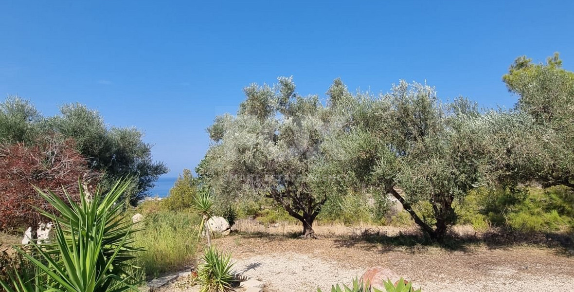 For Sale: Stunning Detached Villa on a large plot with Sea View and Pool in Agia Marina Chrysochous
