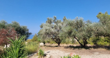 For Sale: Stunning Detached Villa on a large plot with Sea View and Pool in Agia Marina Chrysochous