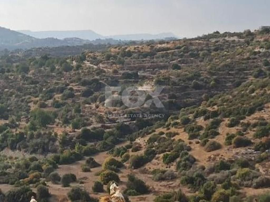 Large Field Plot for Sale 24415 m2  in Apesia, Limassol