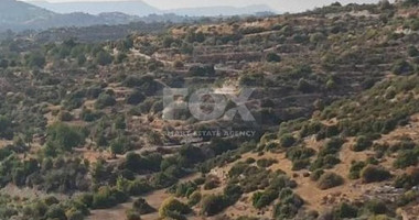 Large Field Plot for Sale 24415 m2  in Apesia, Limassol