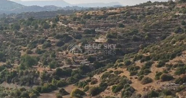 Large Field Plot for Sale 24415 m2  in Apesia, Limassol