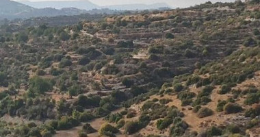 Large Field Plot for Sale 24415 m2  in Apesia, Limassol
