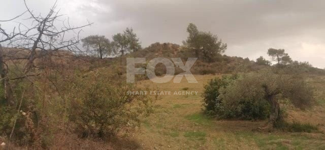 Agricultural land for sale in Vasa Koilaniou, Limassol