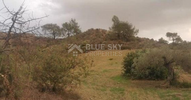 Agricultural land for sale in Vasa Koilaniou, Limassol