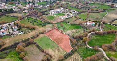 Large Field in Stroumbi