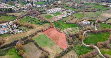 Large Field in Stroumbi