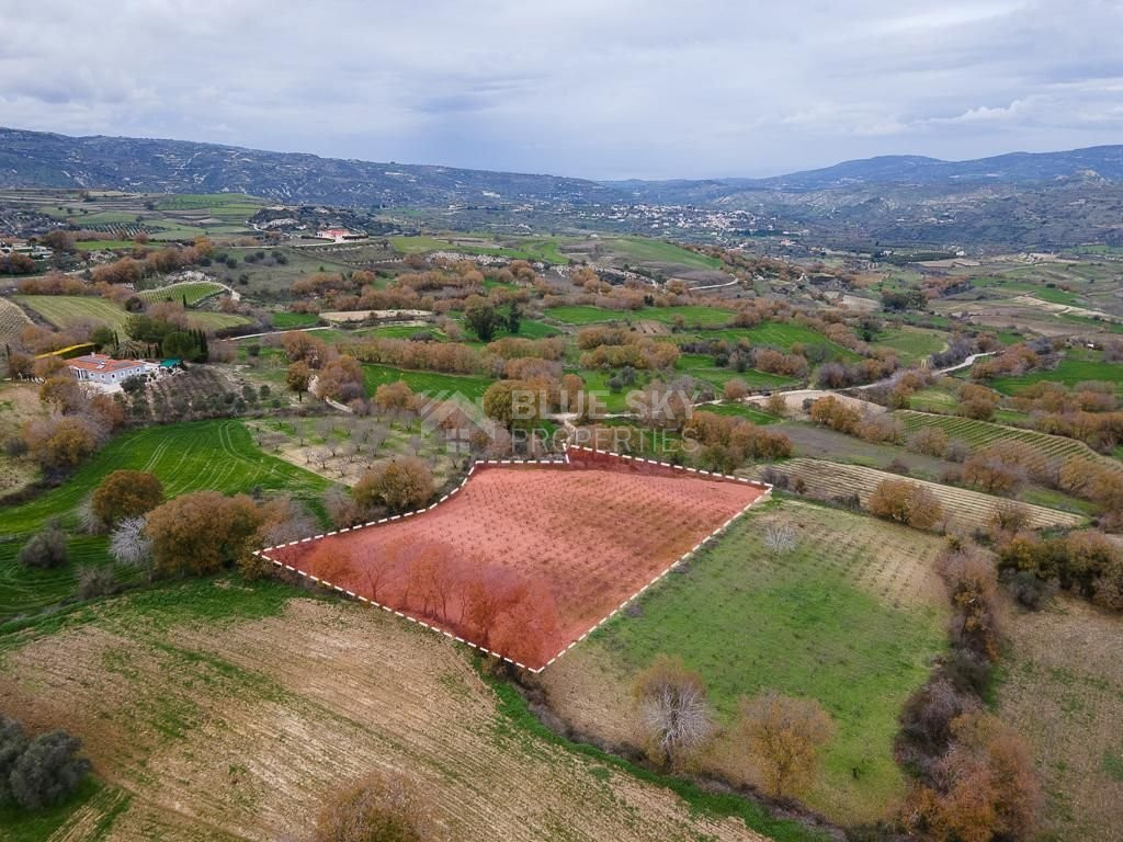 Large Field in Stroumbi