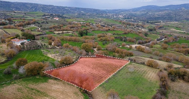Large Field in Stroumbi