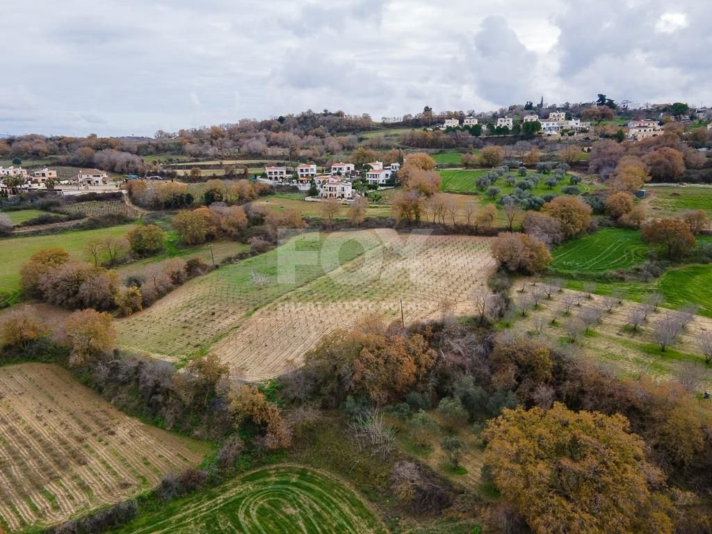 Large Field in Stroumbi