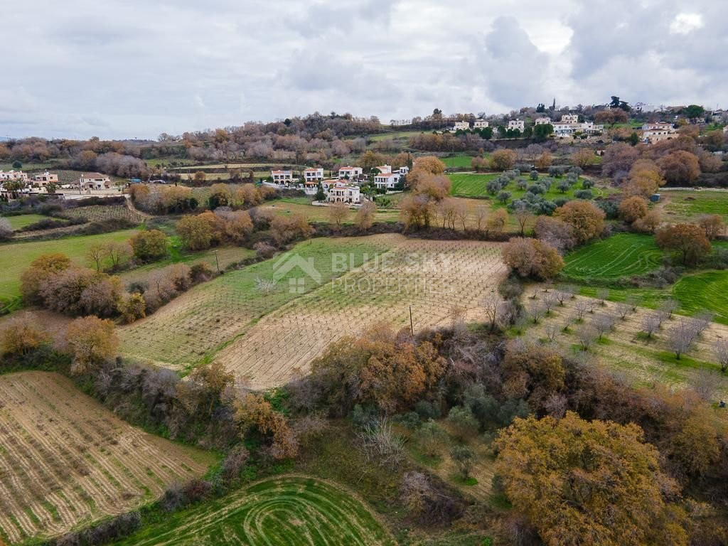 Large Field in Stroumbi