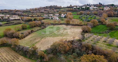 Large Field in Stroumbi