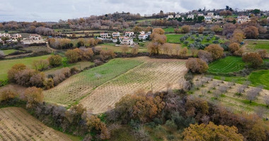 Large Field in Stroumbi